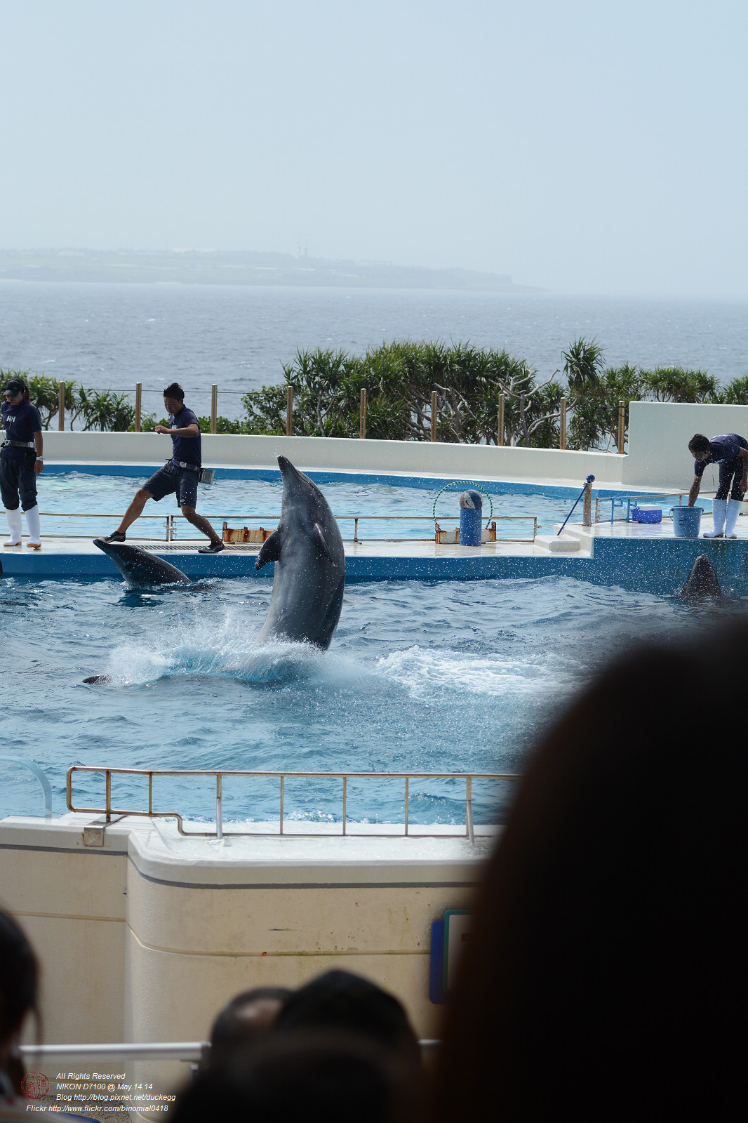 DSC_3088.jpg